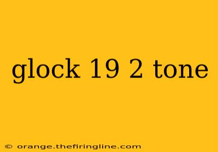 glock 19 2 tone