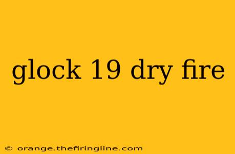 glock 19 dry fire