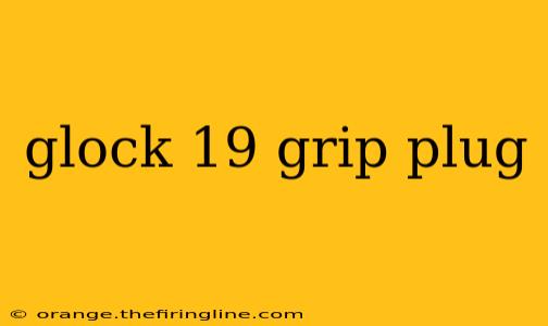 glock 19 grip plug