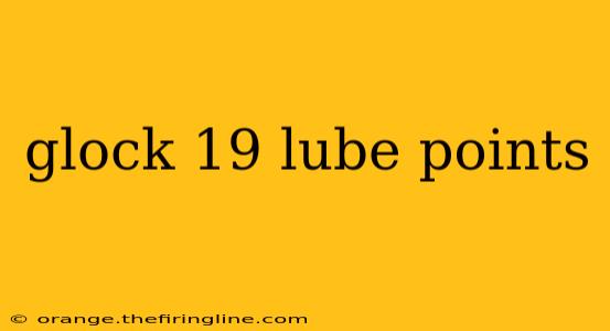 glock 19 lube points