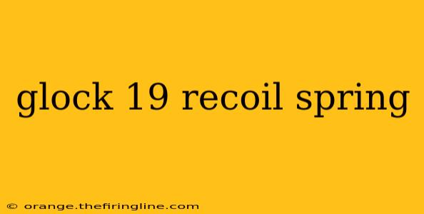 glock 19 recoil spring