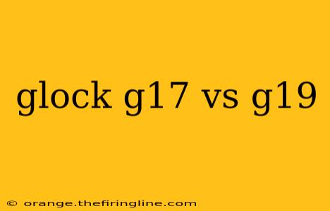 glock g17 vs g19