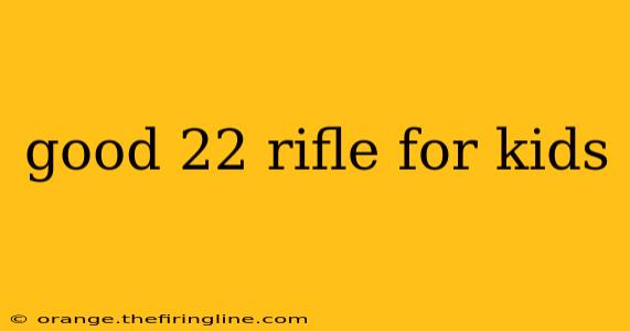 good 22 rifle for kids