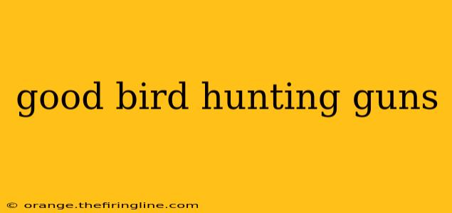 good bird hunting guns