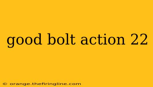 good bolt action 22