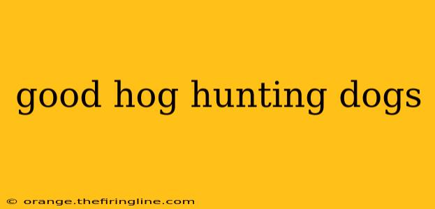 good hog hunting dogs