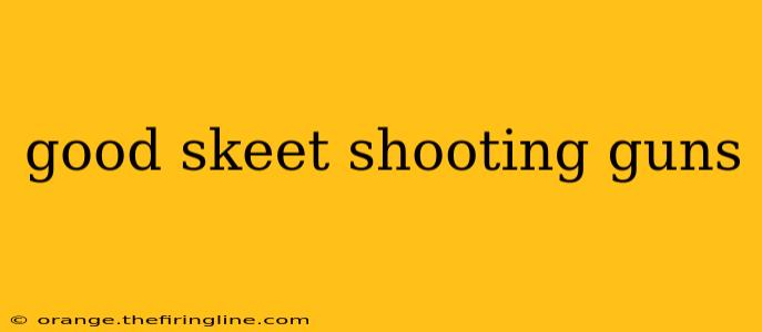 good skeet shooting guns