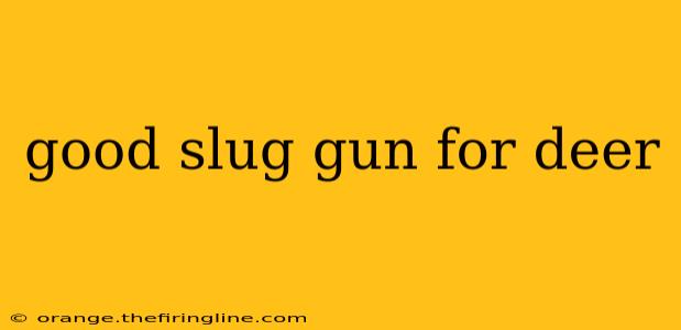 good slug gun for deer