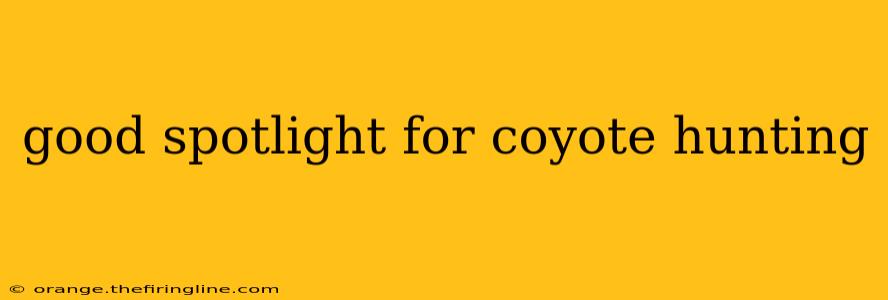 good spotlight for coyote hunting