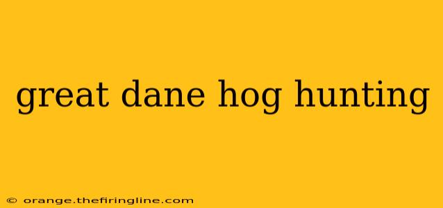 great dane hog hunting