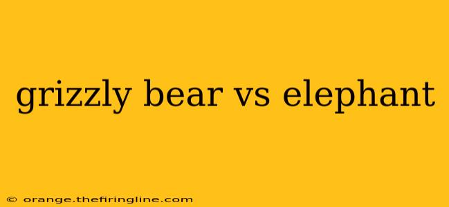 grizzly bear vs elephant