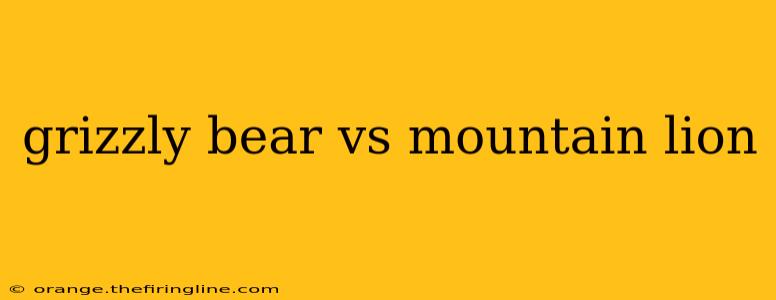 grizzly bear vs mountain lion