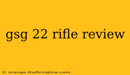 gsg 22 rifle review