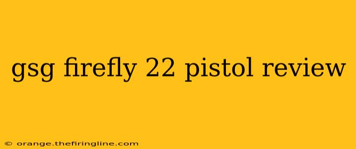 gsg firefly 22 pistol review