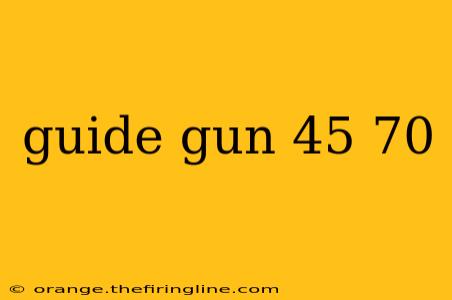 guide gun 45 70