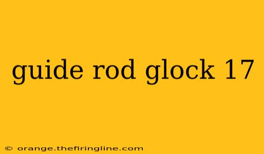 guide rod glock 17