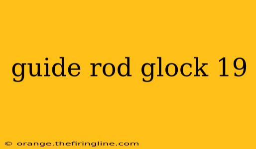 guide rod glock 19