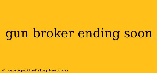 gun broker ending soon