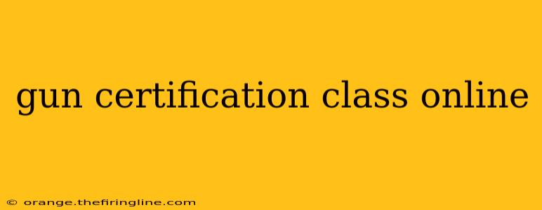 gun certification class online