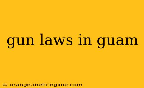 gun laws in guam