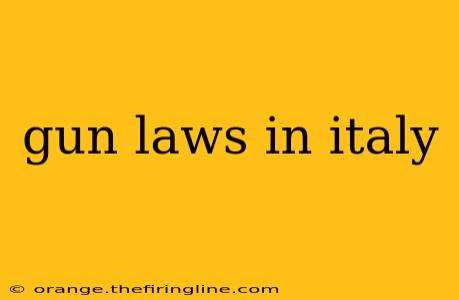 gun laws in italy