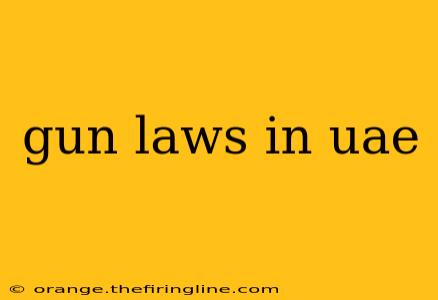 gun laws in uae