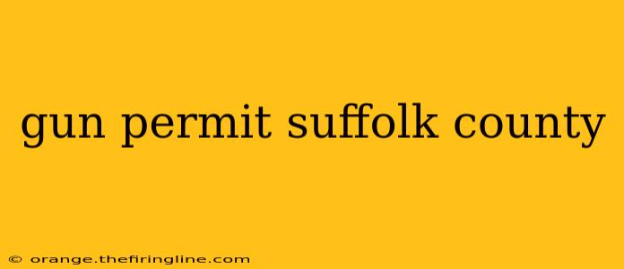 gun permit suffolk county