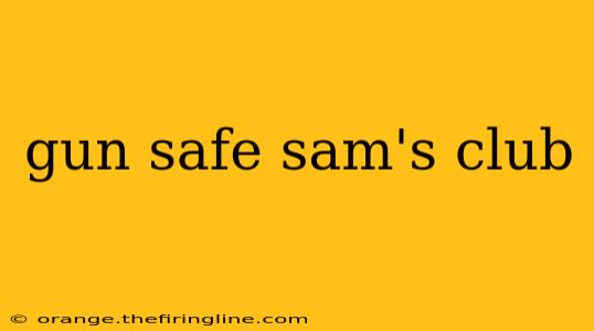 gun safe sam's club