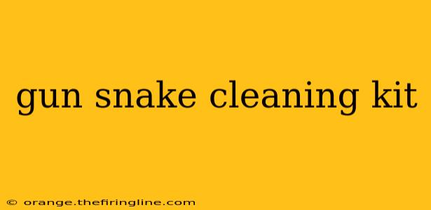 gun snake cleaning kit