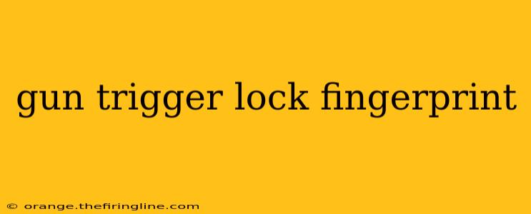 gun trigger lock fingerprint