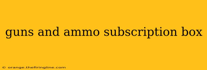 guns and ammo subscription box