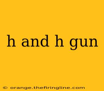 h and h gun