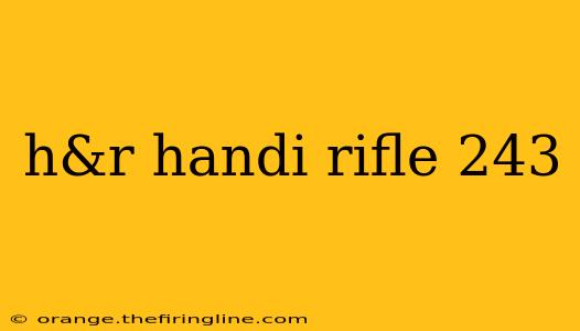 h&r handi rifle 243