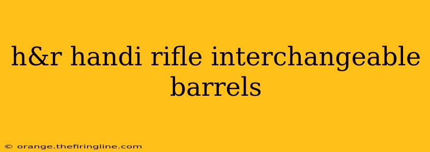 h&r handi rifle interchangeable barrels