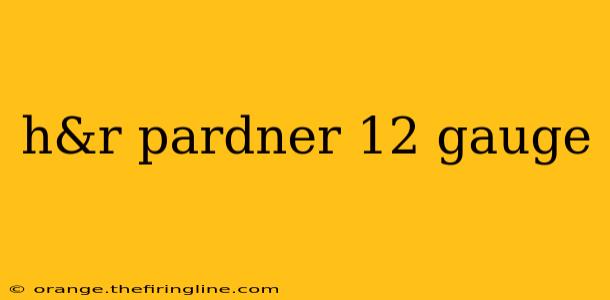 h&r pardner 12 gauge