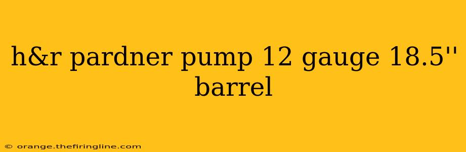 h&r pardner pump 12 gauge 18.5'' barrel