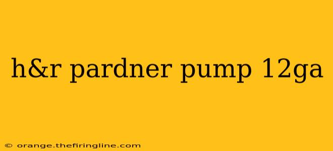 h&r pardner pump 12ga