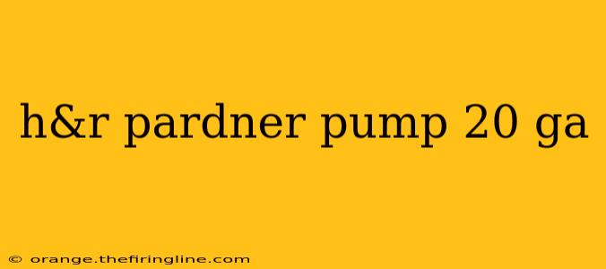 h&r pardner pump 20 ga