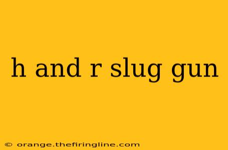 h and r slug gun