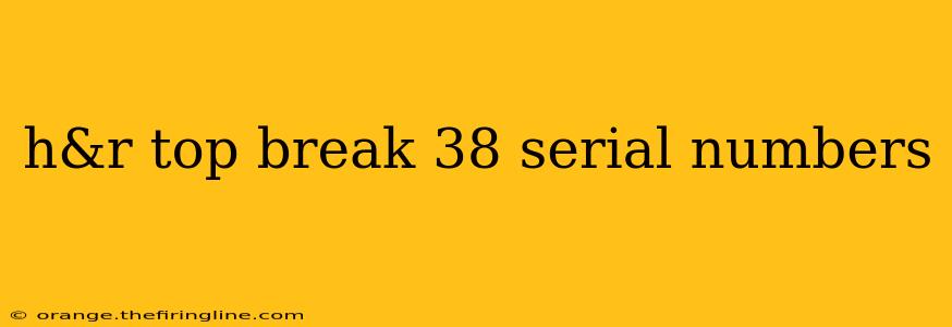 h&r top break 38 serial numbers