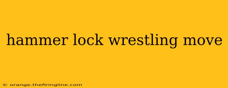 hammer lock wrestling move