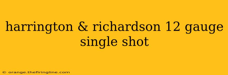 harrington & richardson 12 gauge single shot