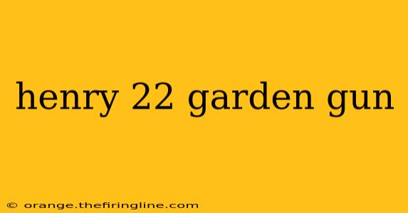 henry 22 garden gun