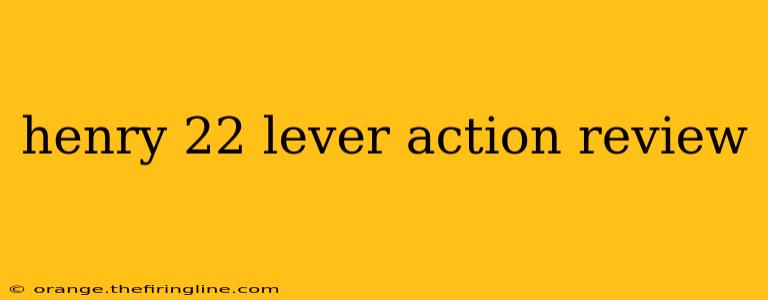 henry 22 lever action review