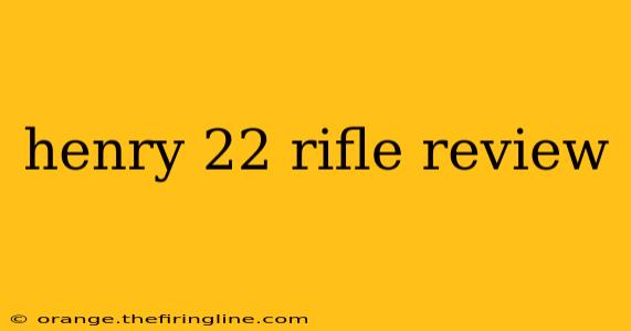 henry 22 rifle review