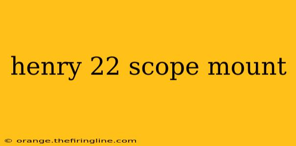 henry 22 scope mount