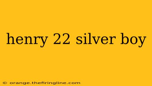 henry 22 silver boy