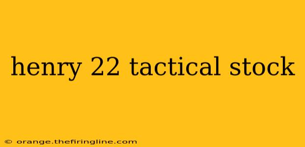 henry 22 tactical stock