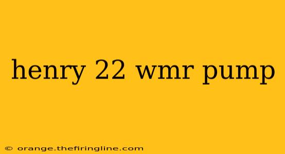 henry 22 wmr pump