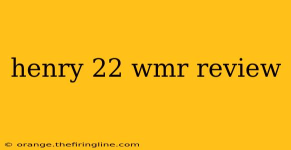 henry 22 wmr review